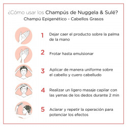 Nuggela & Sule Champú Epigenético Cabello Graso 250ml