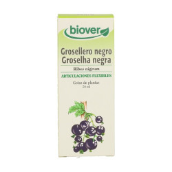 Biover Grosellero Negro 50 ml