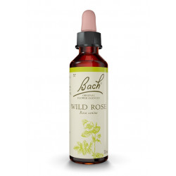 Bach 37 Rosa - Wild Rose 20 ml