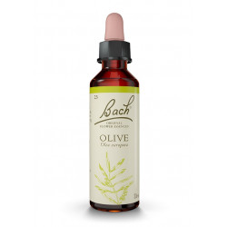 Bach 23 Olive - Olive 20 ml