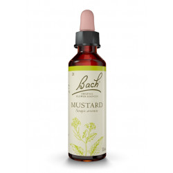 Bach 21 Moutarde - Moutarde 20 ml