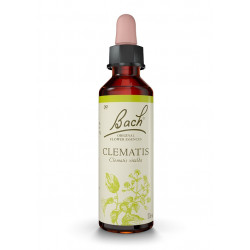 Bach 09 Clematide - Clematis 20 ml