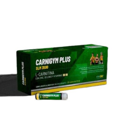 Carnigym Plus Plantapol 20 Flacons 10ml